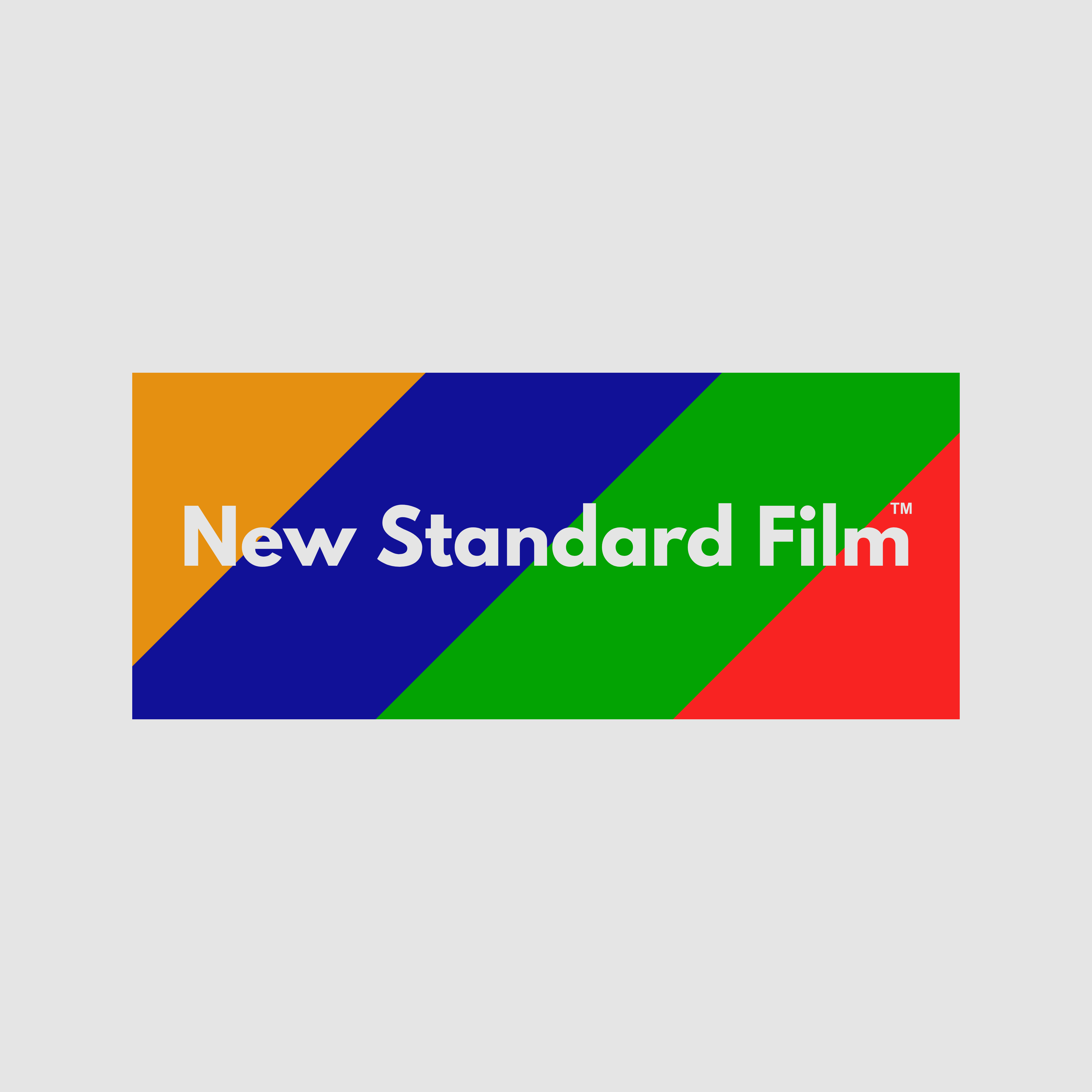 New Standard Company